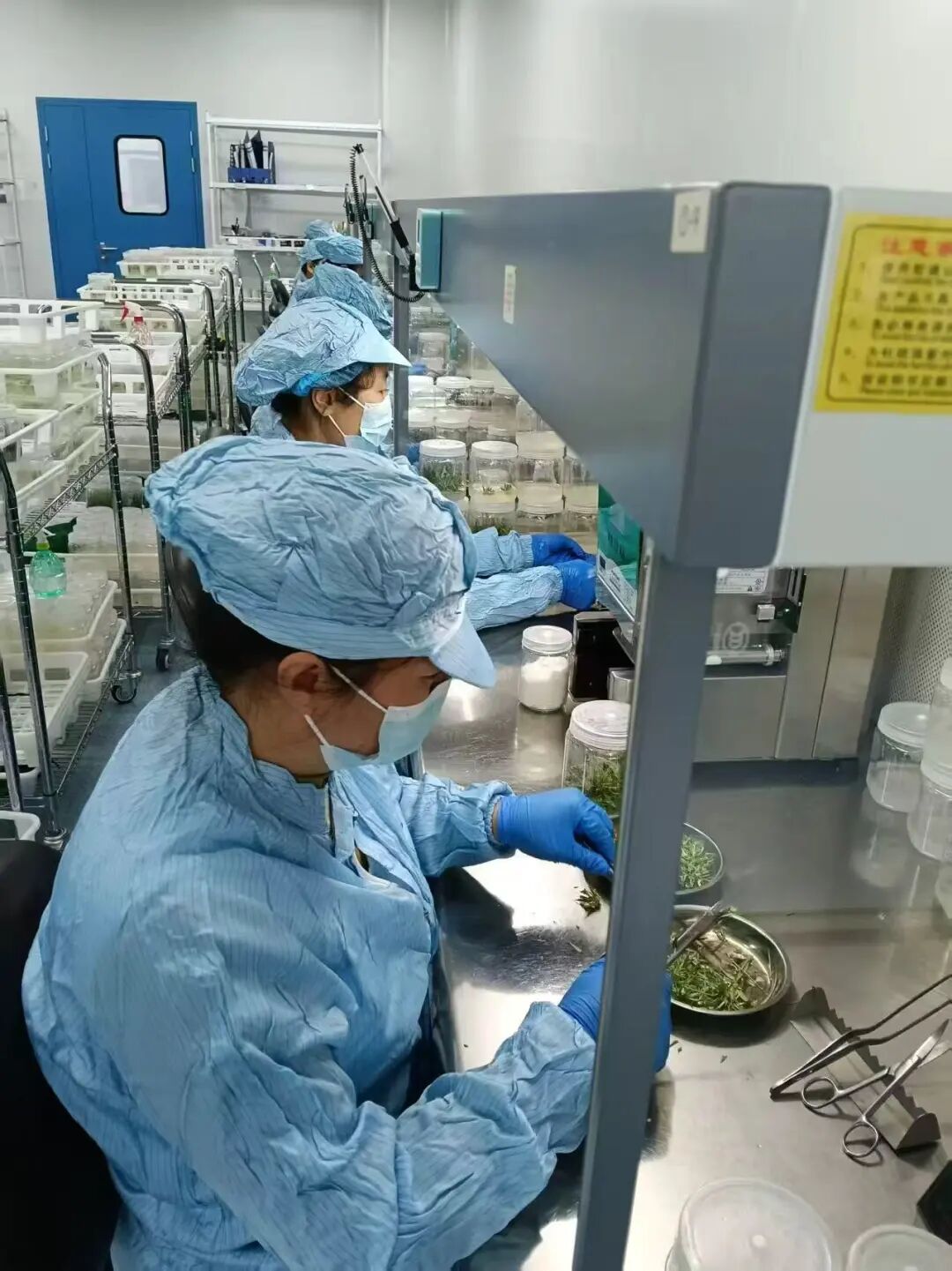 深耕鹽堿地 打造特色產(chǎn)業(yè)高質(zhì)量發(fā)展新引擎——黃河三角洲農(nóng)業(yè)高新技術產(chǎn)業(yè)示范區(qū)推動鹽堿地特色產(chǎn)業(yè)發(fā)展綜述